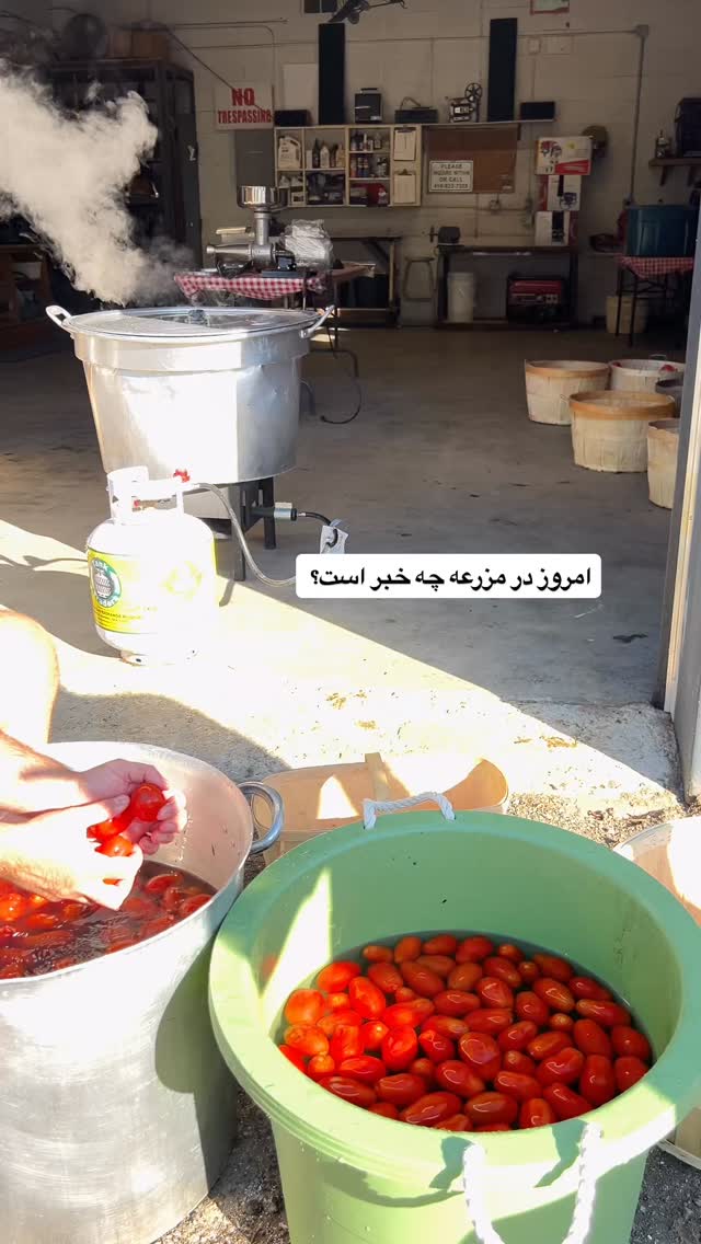  جدید ترین استوری اینستاگرام آیدا پوریا نسب