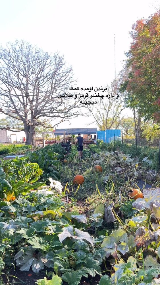  جدید ترین استوری اینستاگرام آیدا پوریا نسب