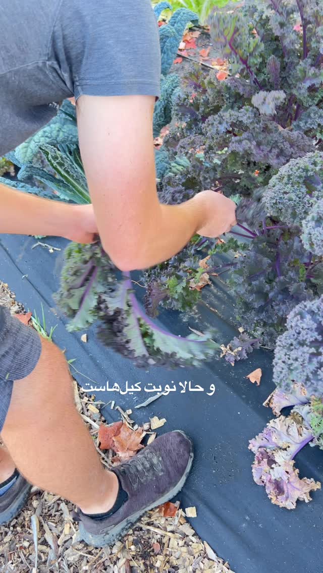  جدید ترین استوری اینستاگرام آیدا پوریا نسب