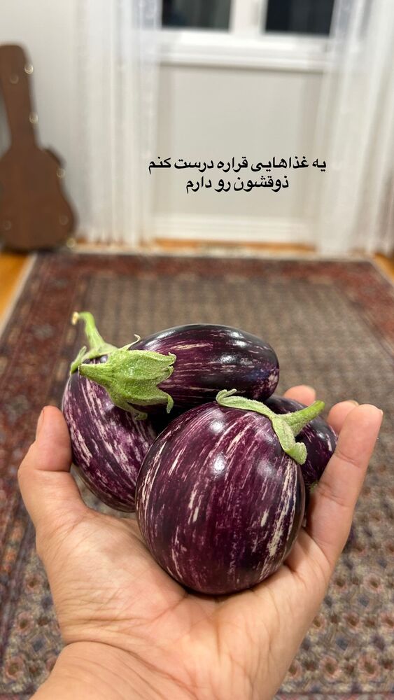  جدید ترین استوری اینستاگرام آیدا پوریا نسب