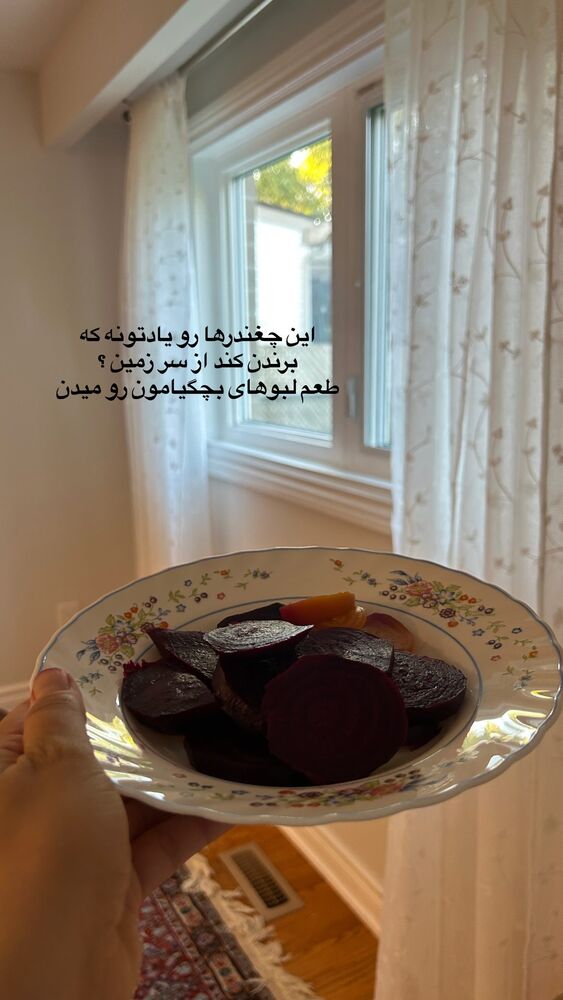  جدید ترین استوری اینستاگرام آیدا پوریا نسب
