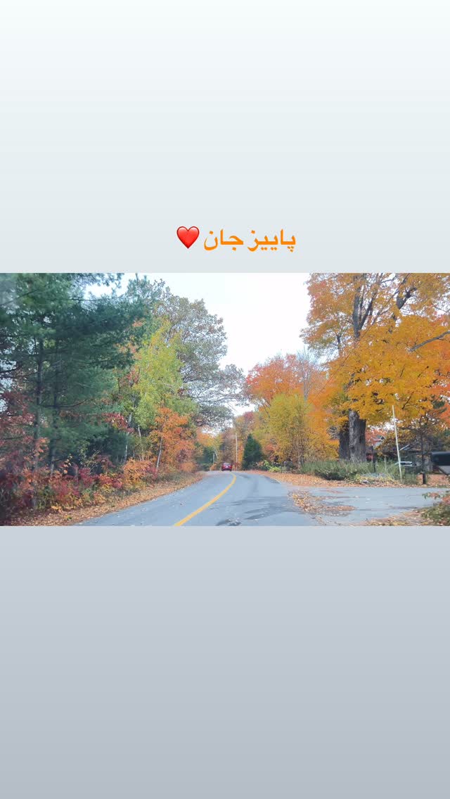  جدید ترین استوری اینستاگرام آیدا پوریا نسب