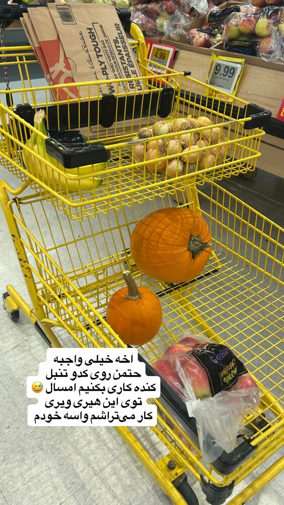  جدید ترین استوری اینستاگرام آیدا پوریا نسب