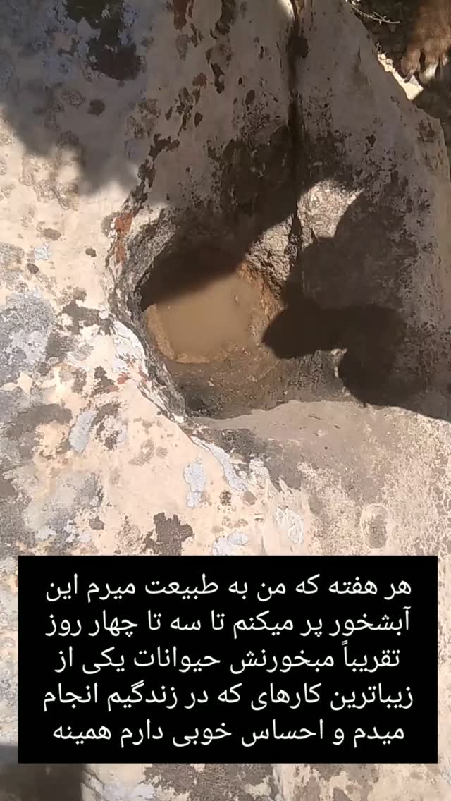  جدید ترین استوری اینستاگرام اکبر آزادی فر
