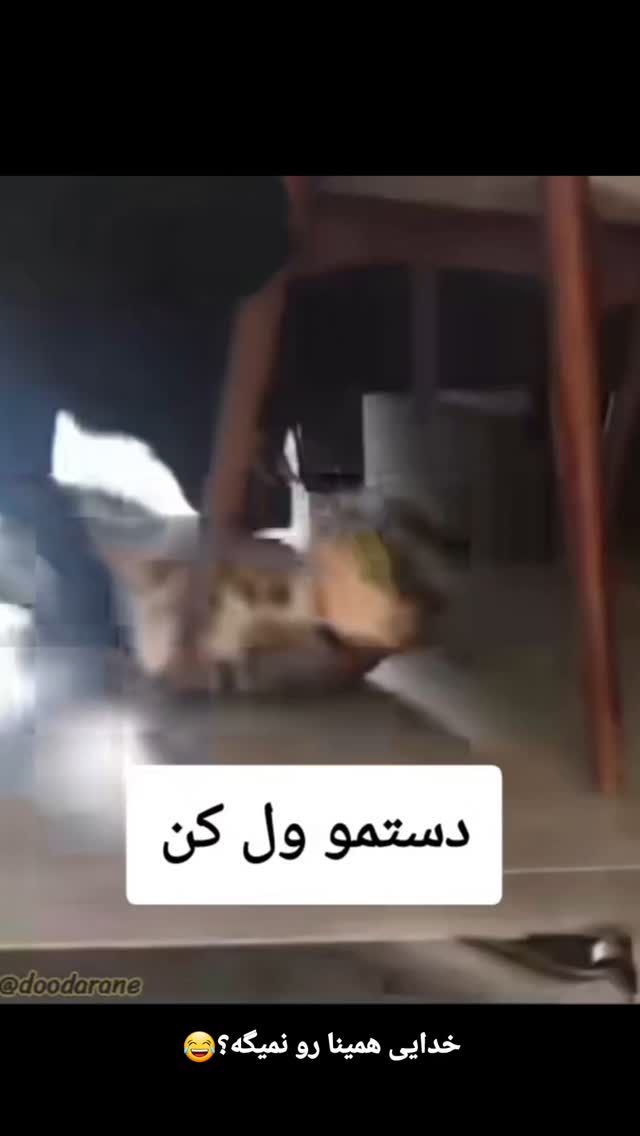  جدید ترین استوری اینستاگرام اکبرفتحی