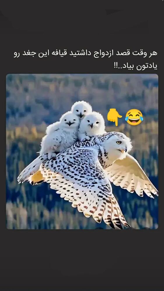  جدید ترین استوری اینستاگرام اکبرفتحی