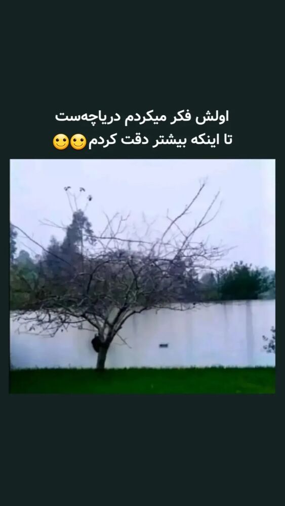  جدید ترین استوری اینستاگرام اکبرفتحی