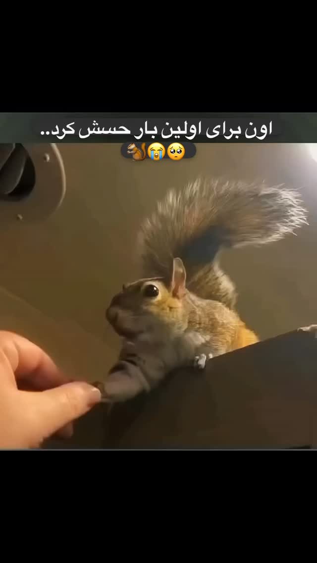  جدید ترین استوری اینستاگرام اکبرفتحی