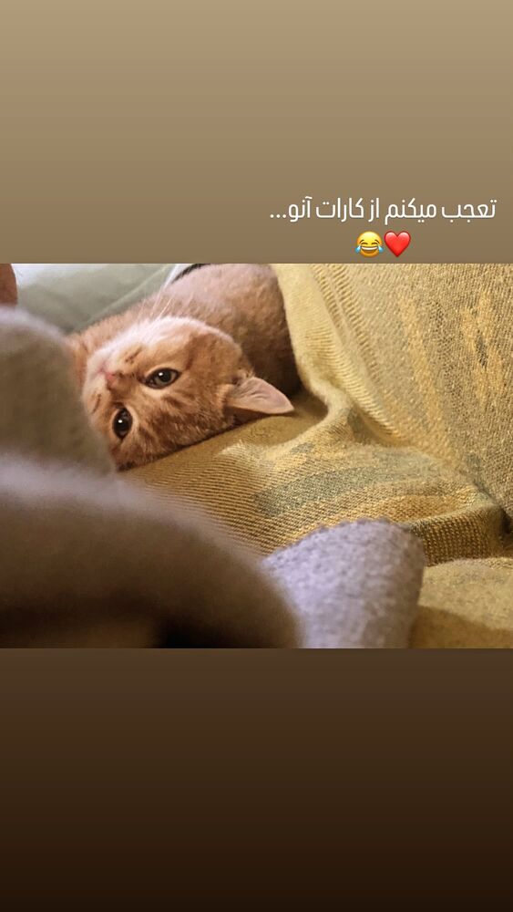  جدید ترین استوری اینستاگرام مهران اکبری