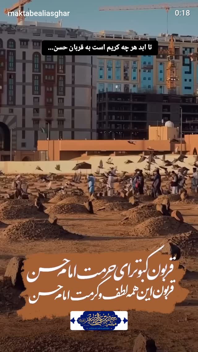  جدید ترین استوری اینستاگرام آلاء خامه یار