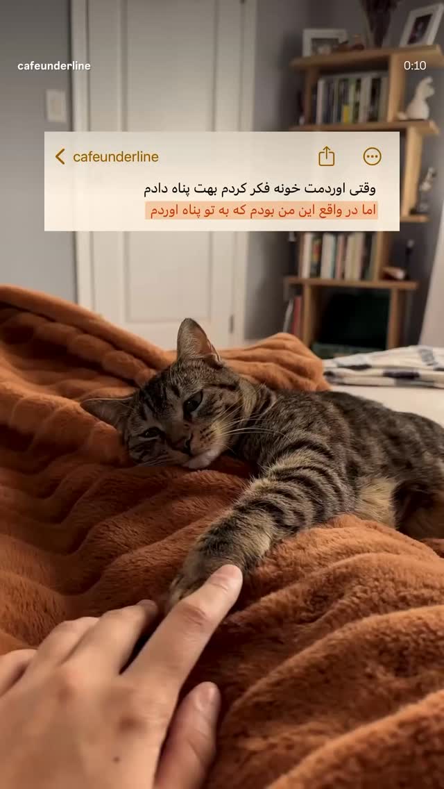  جدید ترین استوری اینستاگرام آلاله صعودی