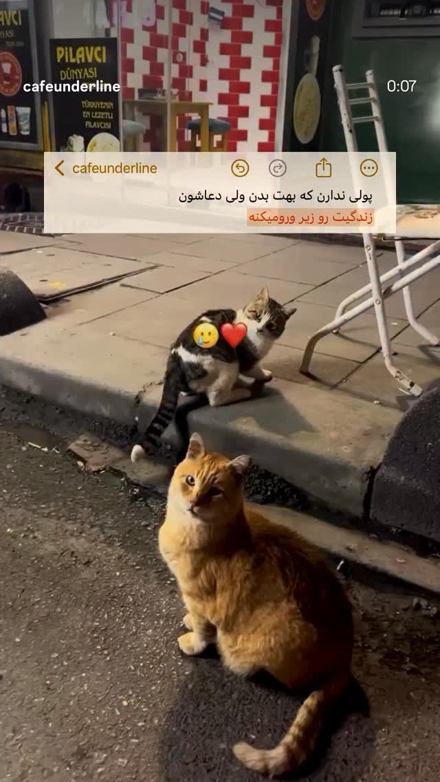  جدید ترین استوری اینستاگرام آلاله صعودی