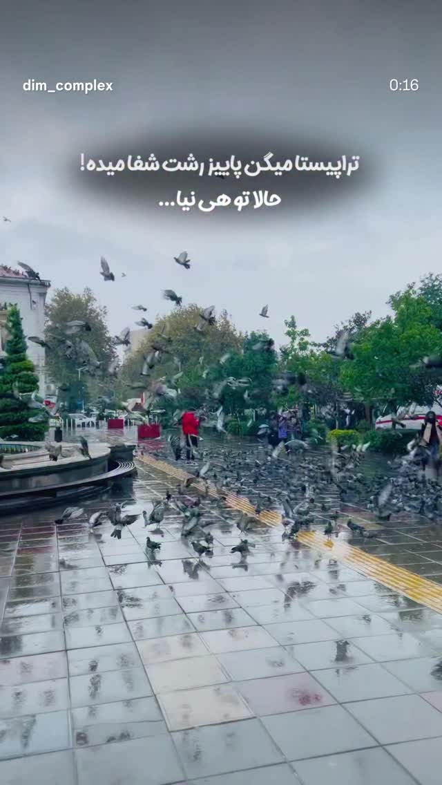  جدید ترین استوری اینستاگرام آلاله صعودی