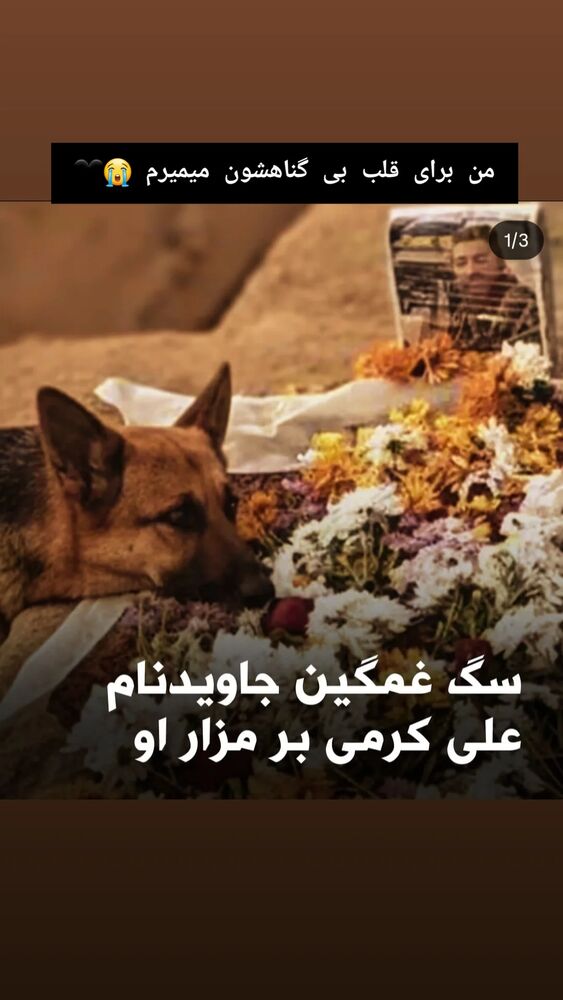  جدید ترین استوری اینستاگرام آلاله صعودی