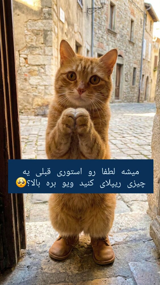  جدید ترین استوری اینستاگرام البرز اشرفی