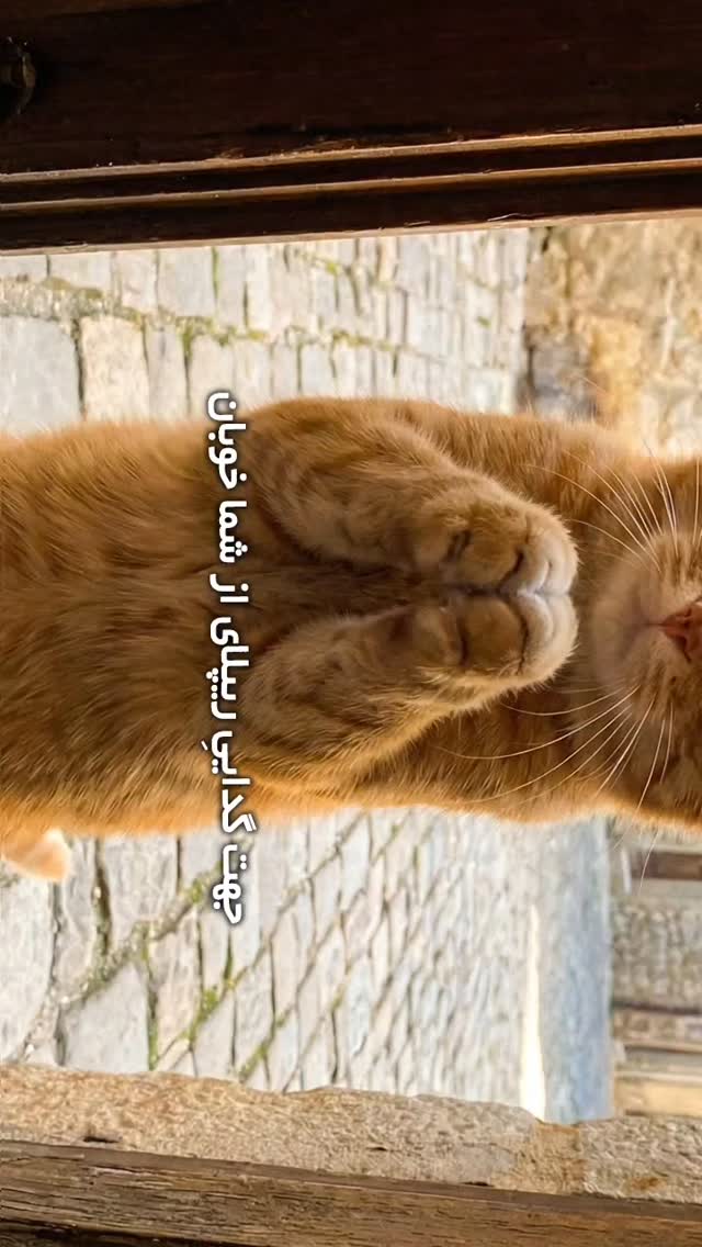  جدید ترین استوری اینستاگرام البرز اشرفی