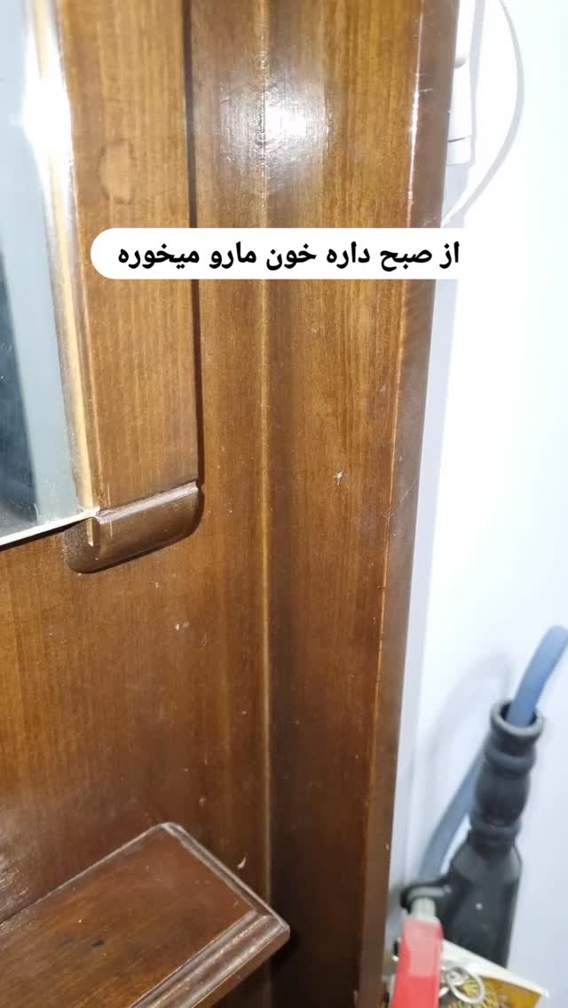  جدید ترین استوری اینستاگرام البرز اشرفی