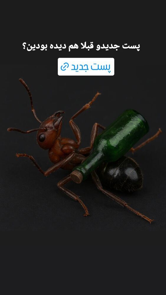  جدید ترین استوری اینستاگرام البرز اشرفی