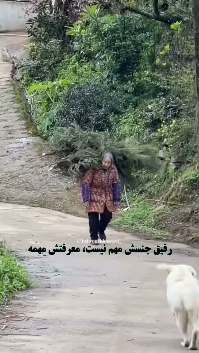  جدید ترین استوری اینستاگرام علی اخوان