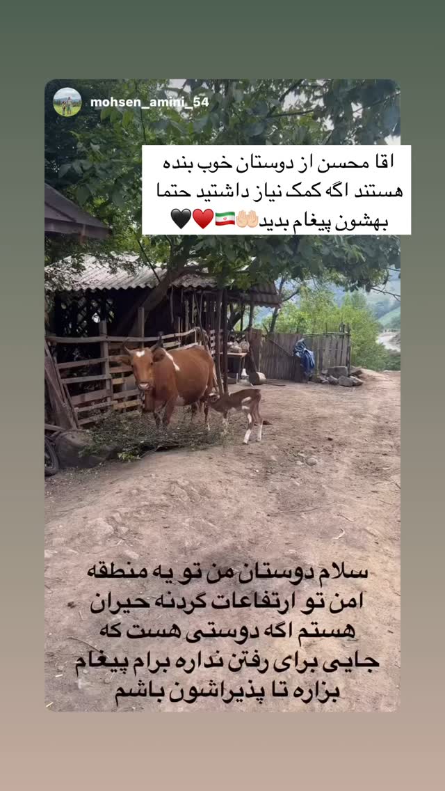  جدید ترین استوری اینستاگرام علی ثمری
