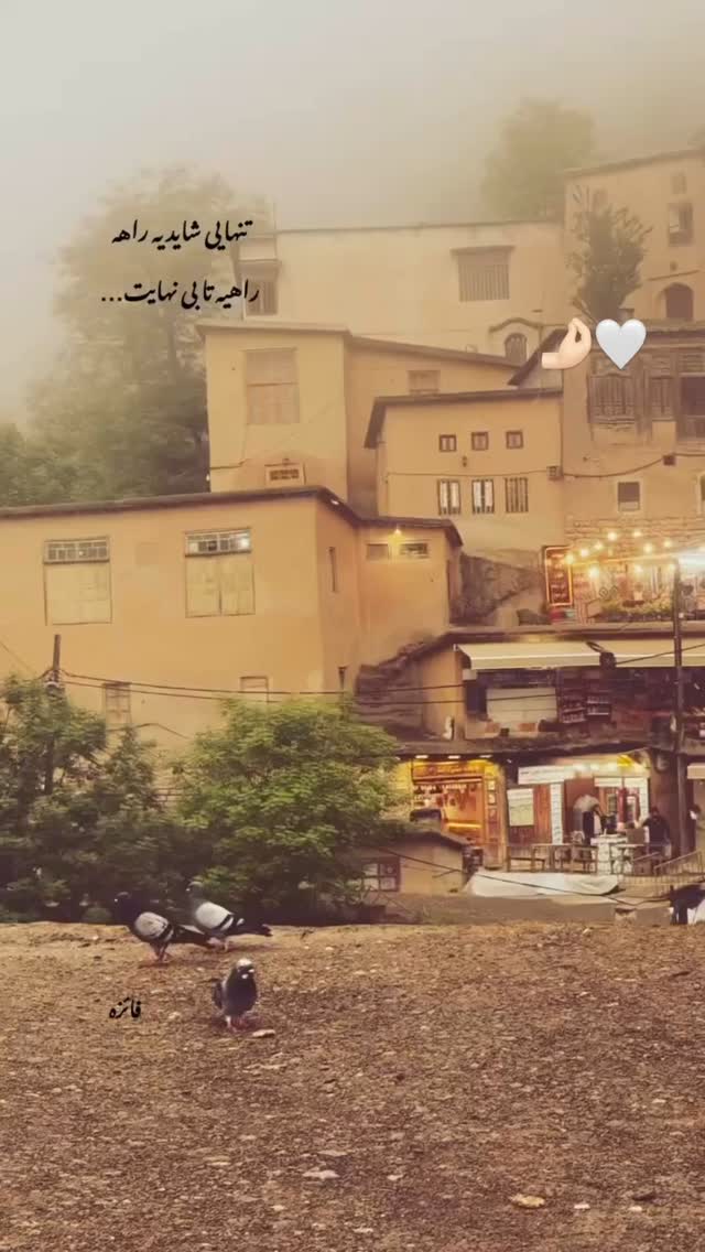  جدید ترین استوری اینستاگرام علی ثمری