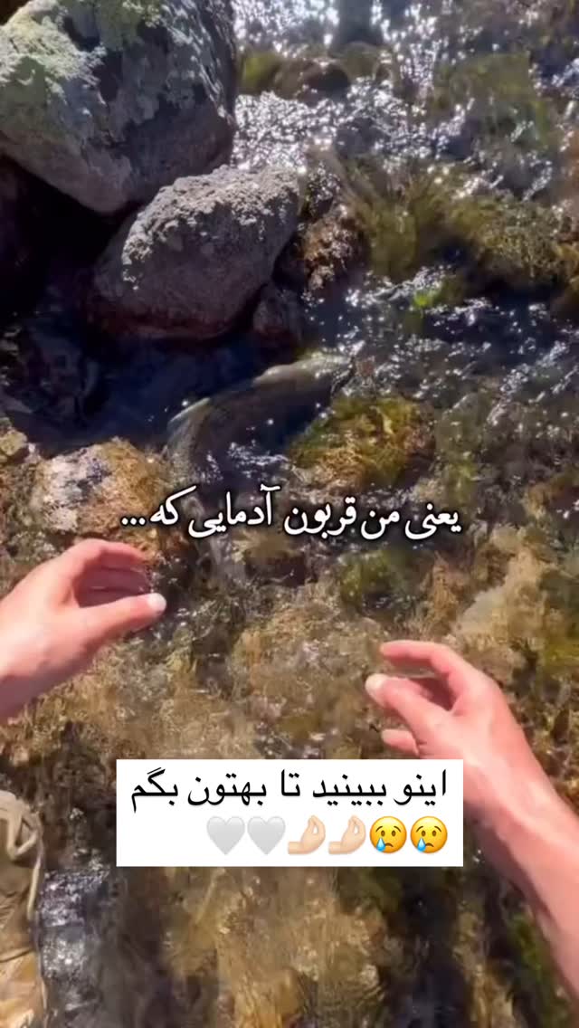  جدید ترین استوری اینستاگرام علی ثمری