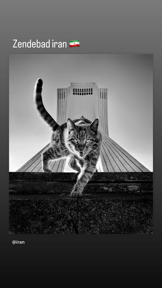  جدید ترین استوری اینستاگرام علی کریمی