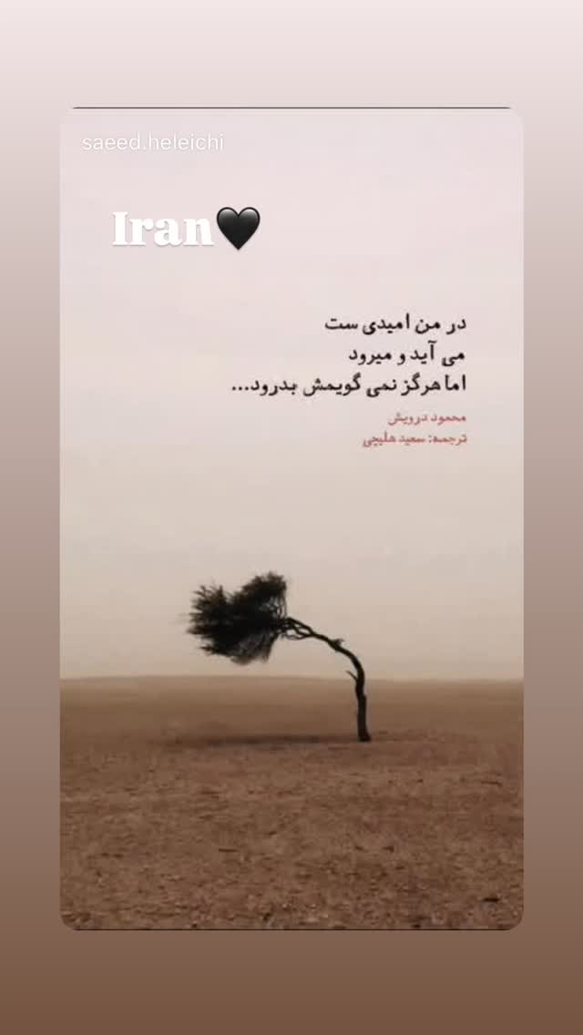 جدید ترین استوری اینستاگرام علی لبیب