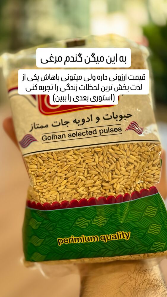  جدید ترین استوری اینستاگرام علی فودباز