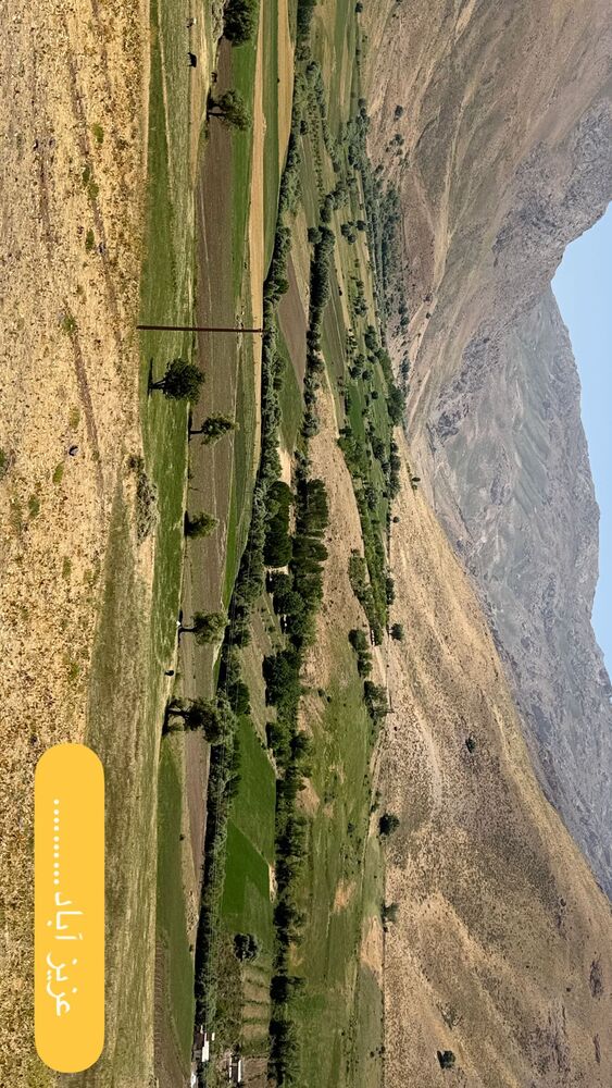  جدید ترین استوری اینستاگرام علی قیومی
