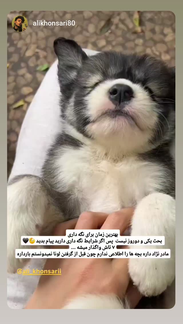  جدید ترین استوری اینستاگرام علی خونساری