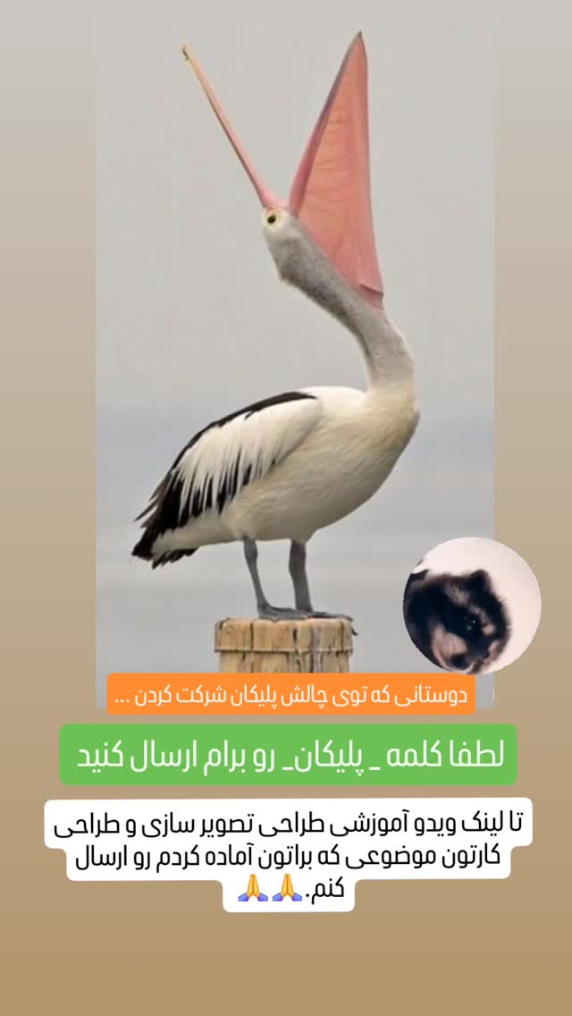  جدید ترین استوری اینستاگرام علی عبدی
