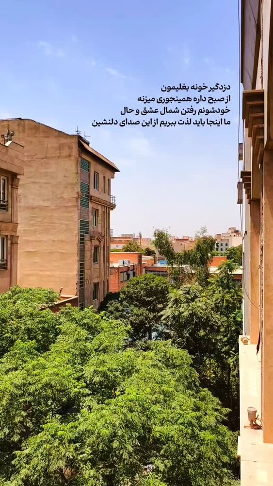  جدید ترین استوری اینستاگرام aliagha.director