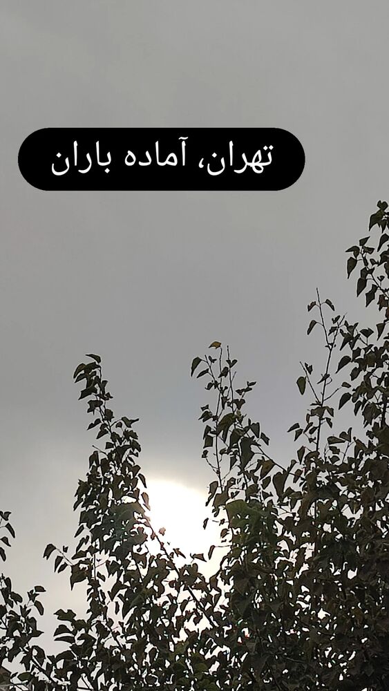  جدید ترین استوری اینستاگرام علی بحرینی
