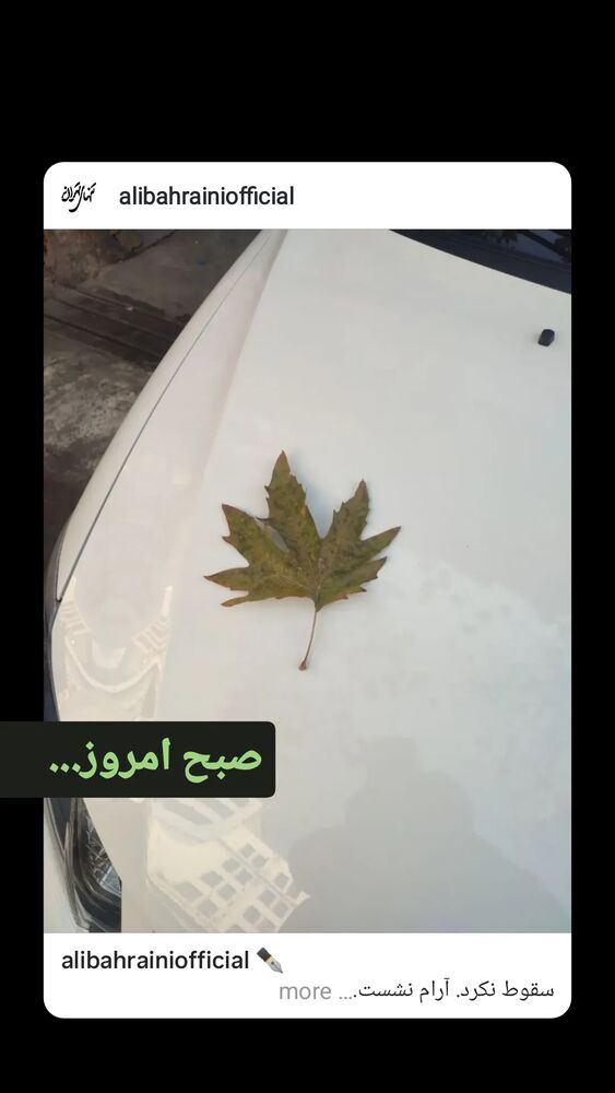  جدید ترین استوری اینستاگرام علی بحرینی