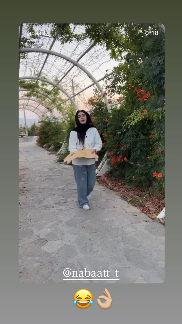  جدید ترین استوری اینستاگرام علی بیگلر