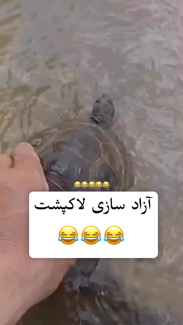  جدید ترین استوری اینستاگرام علی بیگلر