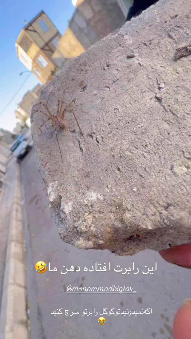  جدید ترین استوری اینستاگرام علی بیگلر