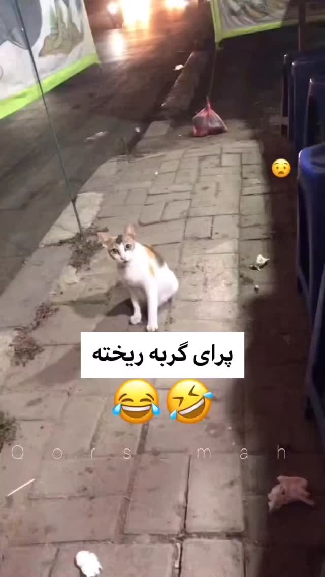  جدید ترین استوری اینستاگرام علی بیگلر