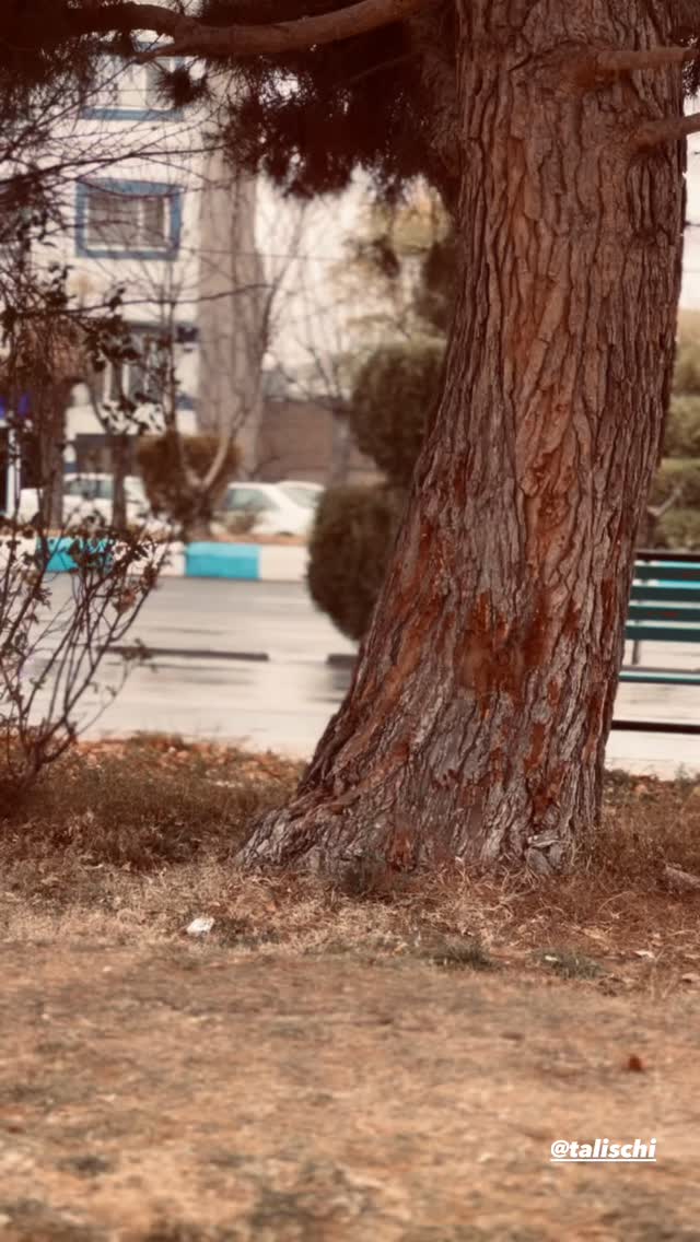  جدید ترین استوری اینستاگرام علی بیگلر