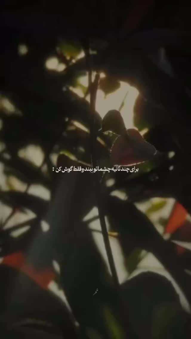  جدید ترین استوری اینستاگرام علی فانی