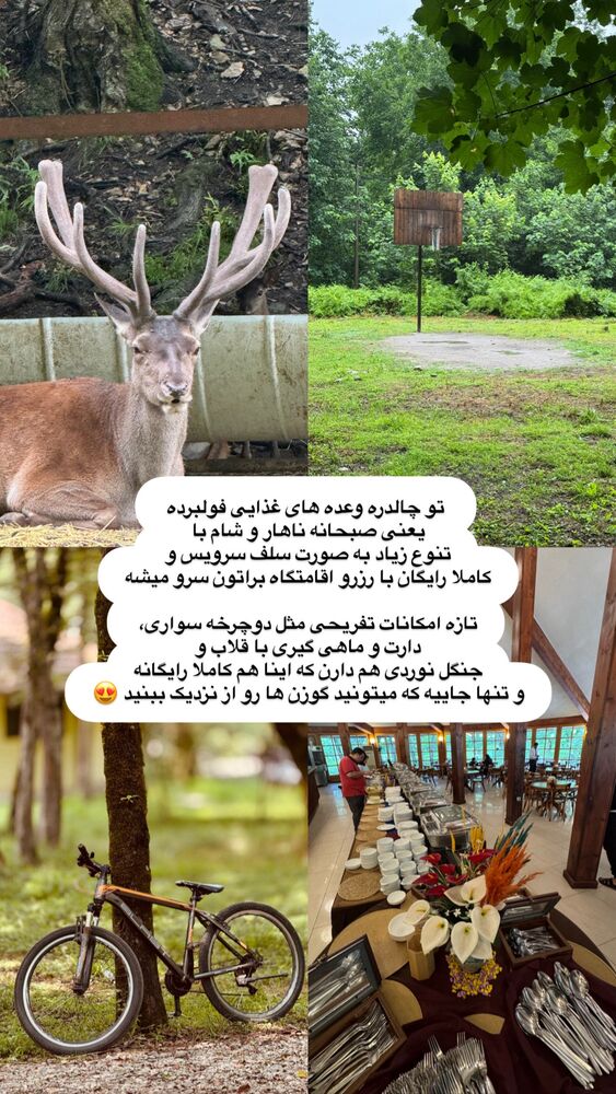  جدید ترین استوری اینستاگرام على قاضى نظام