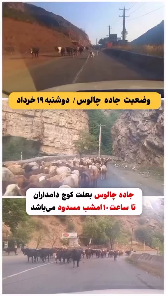  جدید ترین استوری اینستاگرام على قاضى نظام
