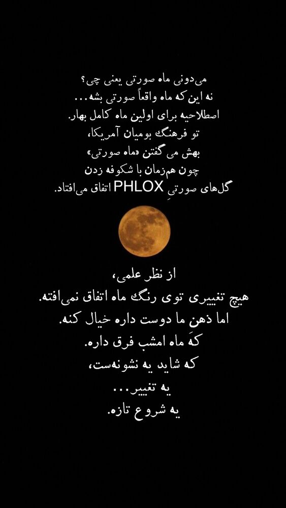  جدید ترین استوری اینستاگرام على قاضى نظام