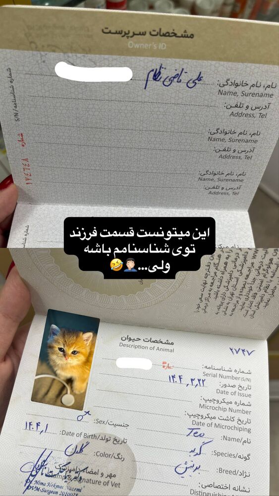  جدید ترین استوری اینستاگرام على قاضى نظام