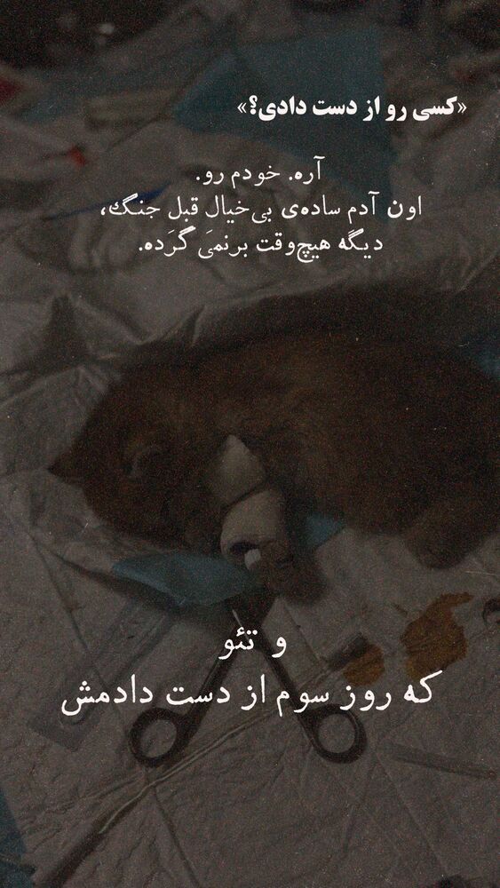  جدید ترین استوری اینستاگرام على قاضى نظام