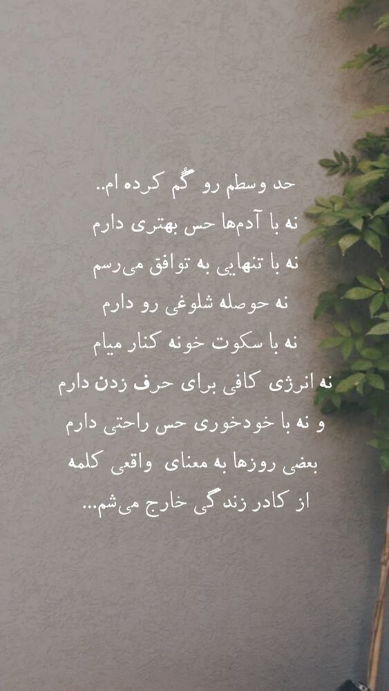  جدید ترین استوری اینستاگرام على قاضى نظام