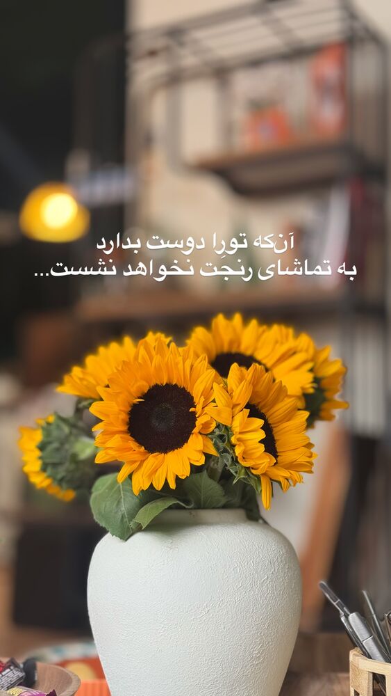 جدید ترین استوری اینستاگرام على قاضى نظام
