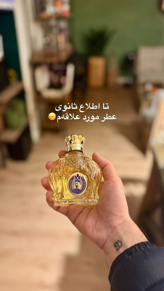  جدید ترین استوری اینستاگرام على قاضى نظام