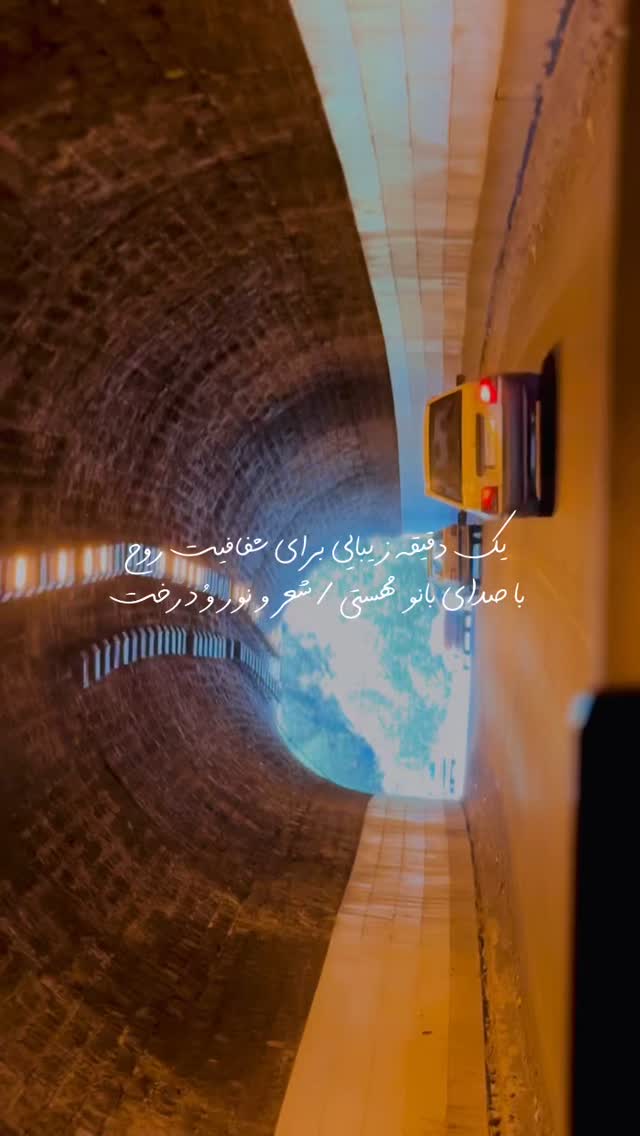 جدید ترین استوری اینستاگرام علی سلطانی